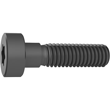 Vis de serrage Torx Plus Vis de serrage Torx Plus